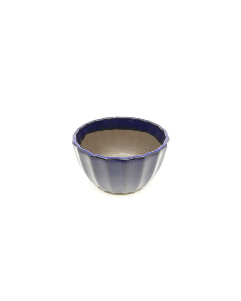 Shohin Bonsai Pot donker blauw chrysanten 10cm