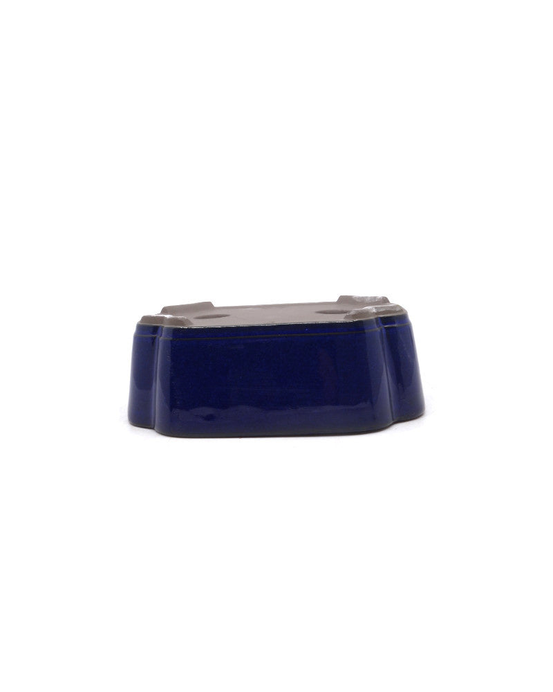 Bonsai pot blauw lotus 16cm