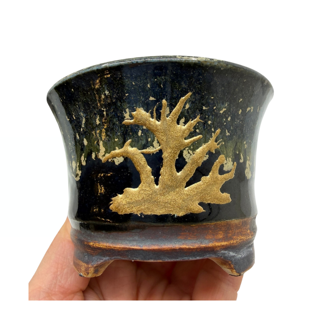 Vaso per bonsai Shohin nero con oro René Lecocq 9cm