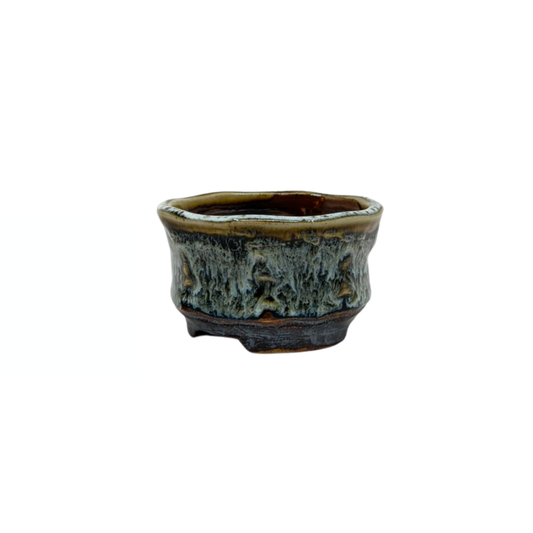 Vaso per Bonsai Shohin marrone crema René Lecocq 9cm