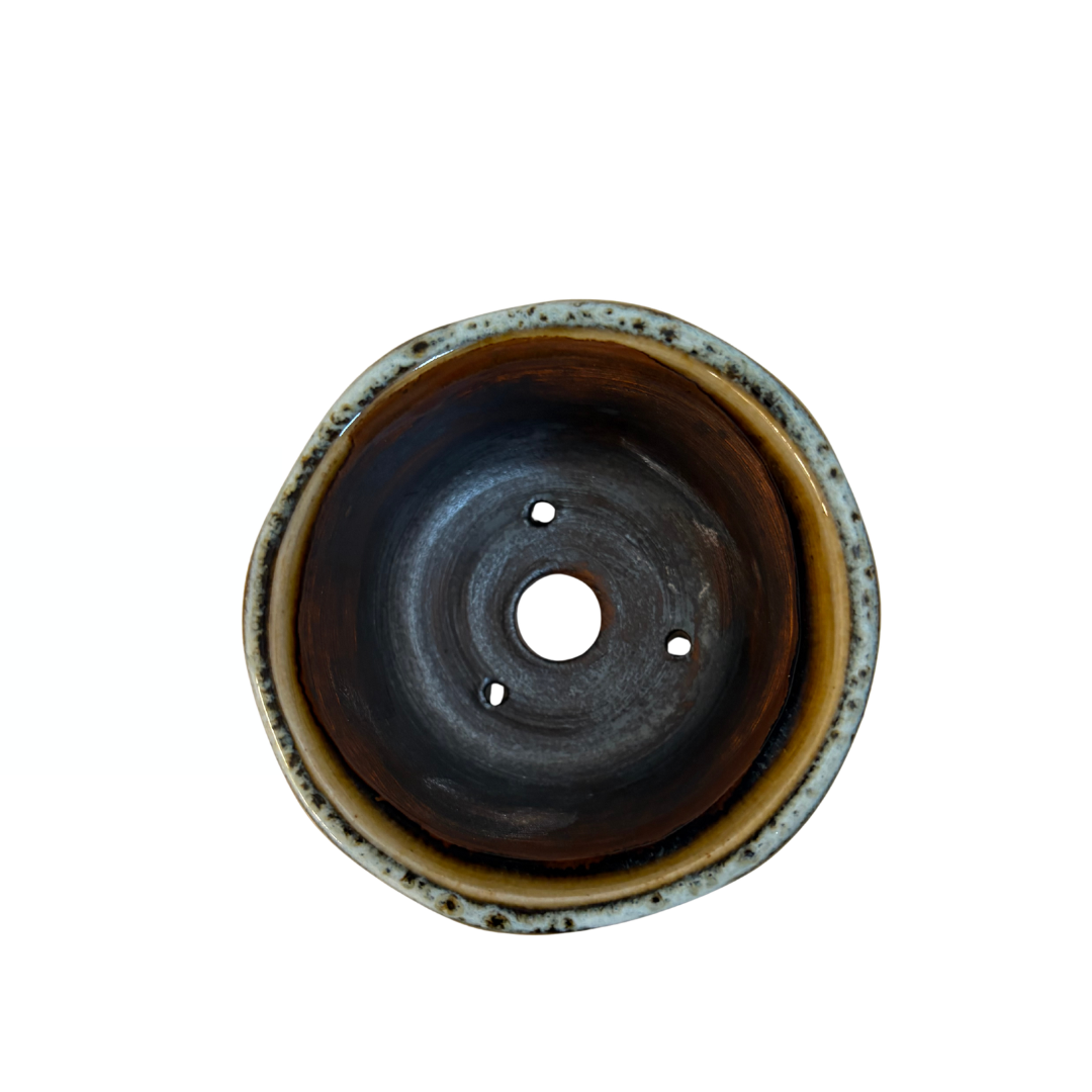 Vaso per Bonsai Shohin marrone crema René Lecocq 9cm