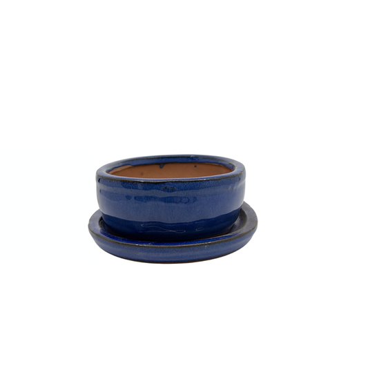 Vaso per bonsai blu ovale 16cm - set
