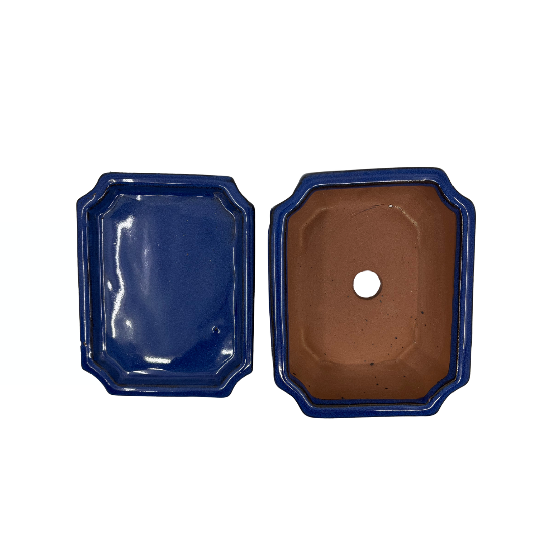 Vaso bonsai blu rettangolare 15cm - set