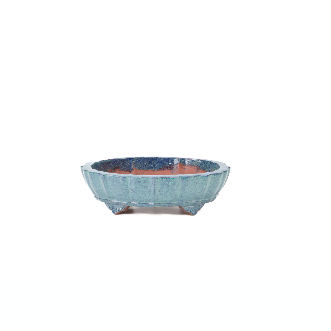 Vaso per bonsai blu verde crisantemo 17 cm