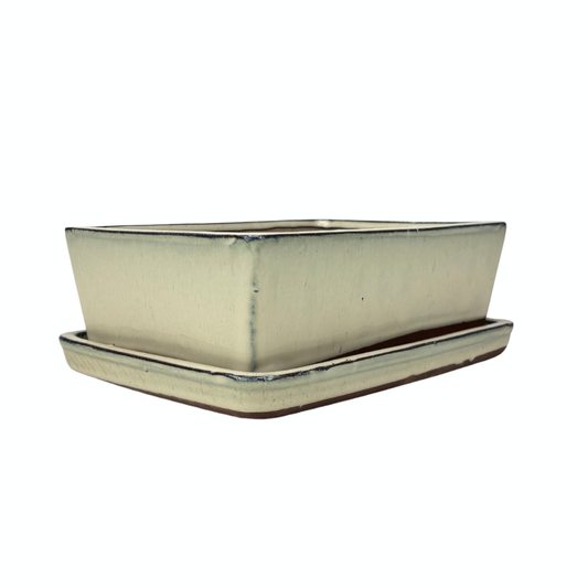 Vaso per bonsai rettangolare crema 30cm - set