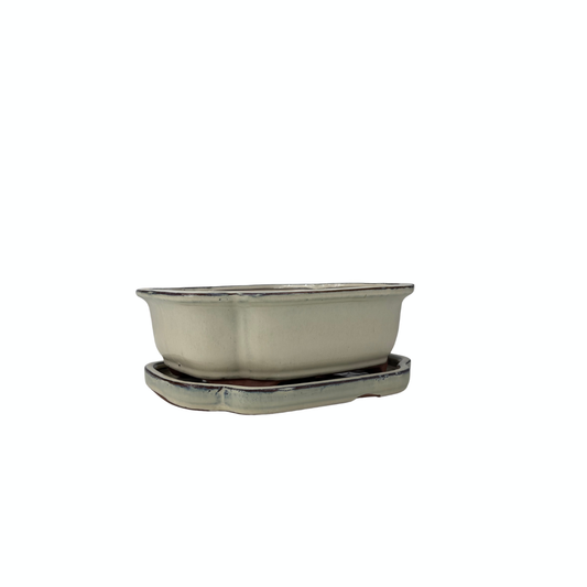 Vaso per bonsai color crema mokko 16cm - set