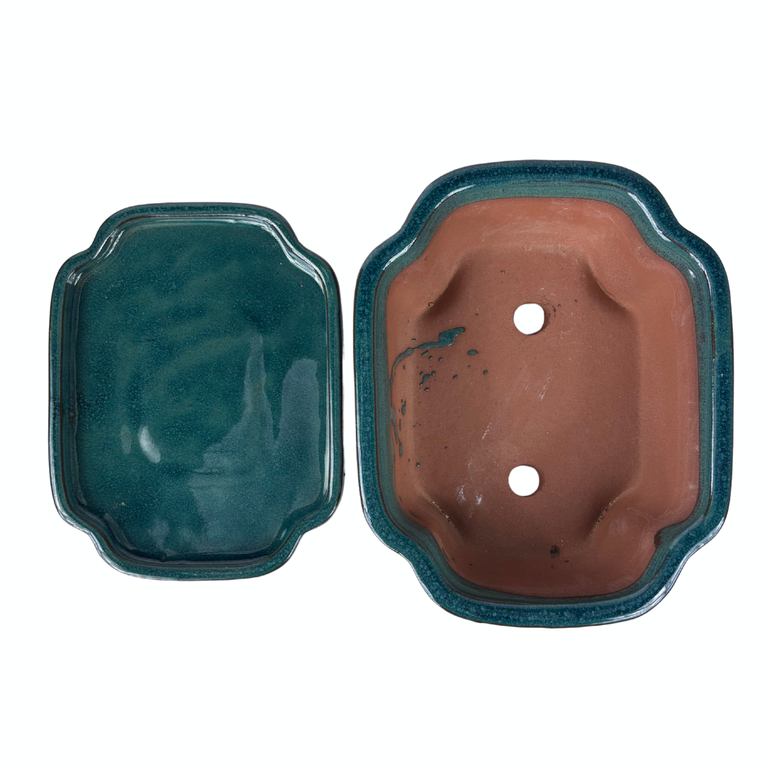 Vaso per bonsai mokko verde 32cm - set