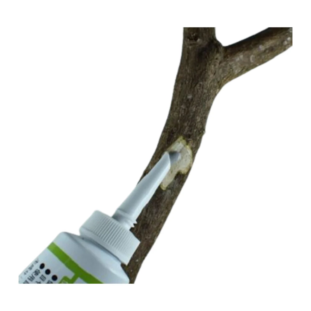 Pasta cicatrizzante liquida per bonsai (Kiyonal Ace 100g)