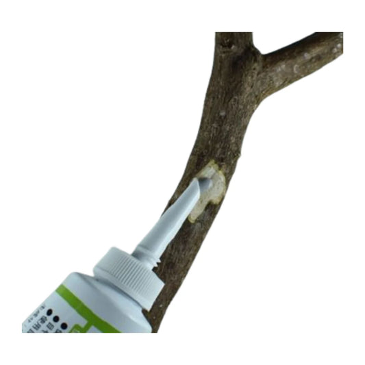 Pasta cicatrizzante liquida per bonsai (Kiyonal Ace 100g)