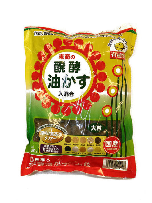 Bonsai Tosho Aburakasu (grote korrel) 500g