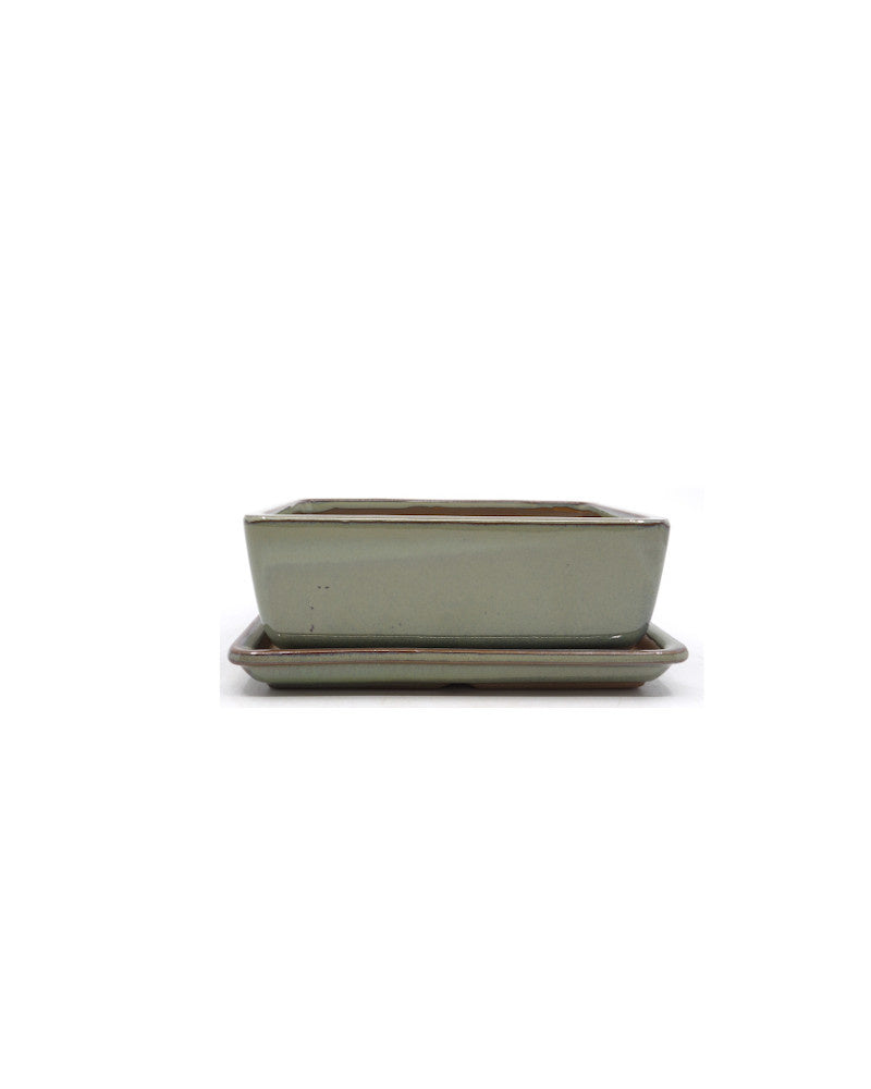 Bonsai pot groen beige rechthoekig 14cm - set