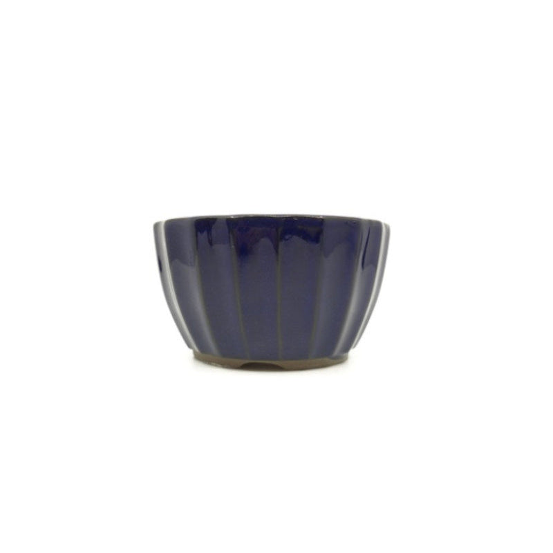 Bonsai pot donker blauw chrysanten 12cm