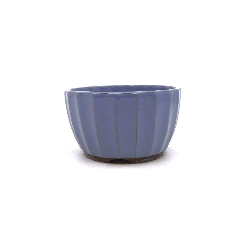 Bonsai pot licht blauw chrysanten 12cm