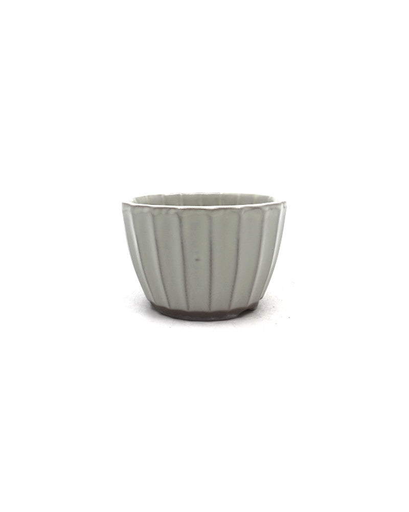 Shohin Bonsai pot wit chrysanten 10cm