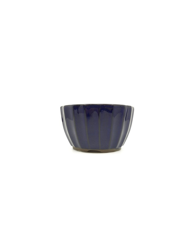 Shohin Bonsai Pot donker blauw chrysanten 10cm