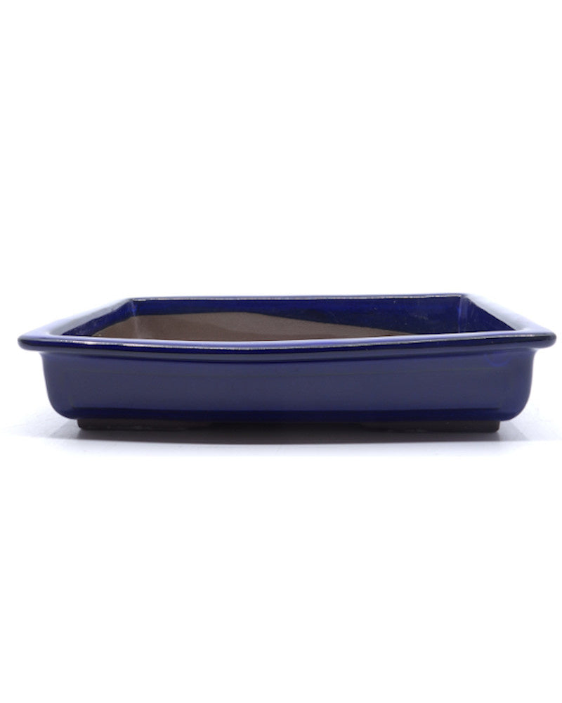 Bonsai pot blauw rechthoekig 37cm