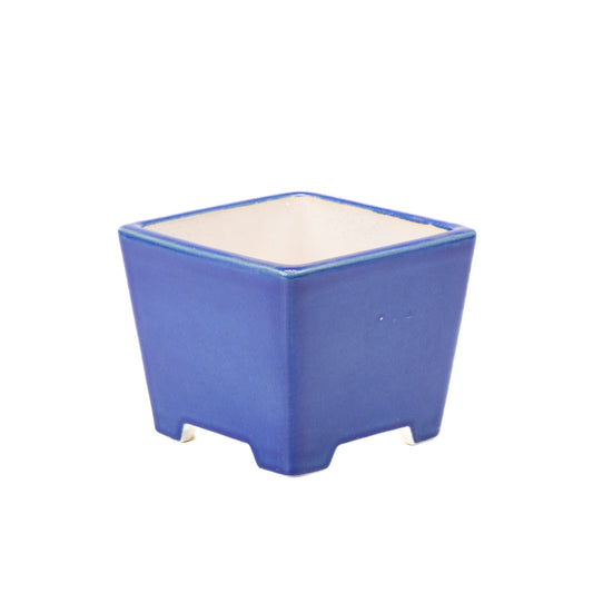 Vaso per bonsai blu semi-cascata quadrato 14 cm, altezza 12 cm