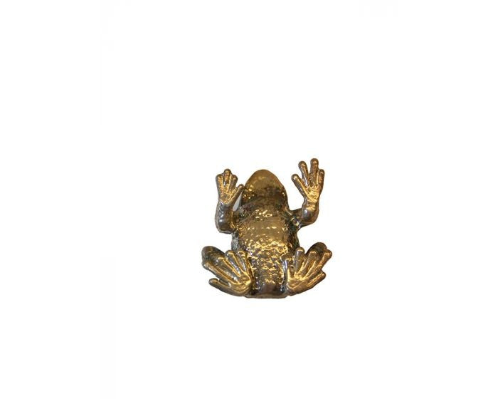 Bonsai Tenpai / Kikker (zilver)