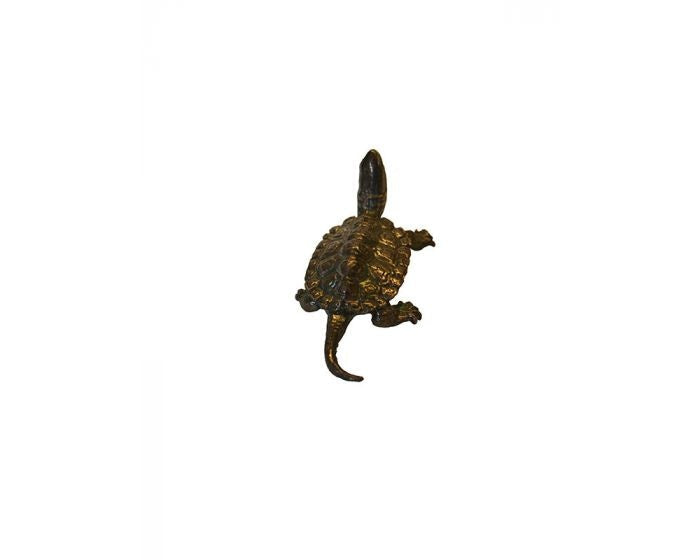 Bonsai Tenpai / Schildpad (zilver)