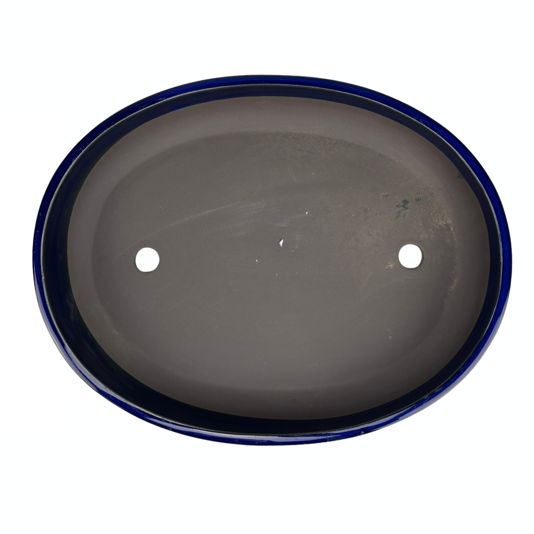 Vaso per bonsai - ovale, smaltato, blu (41 cm di larghezza)