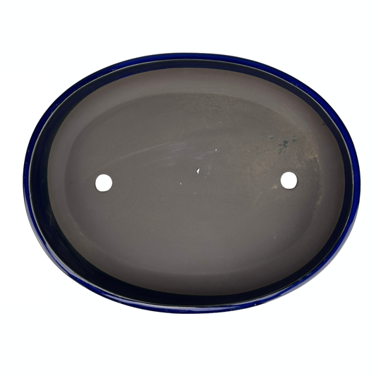 Vaso per bonsai - ovale, smaltato, blu (41 cm di larghezza)