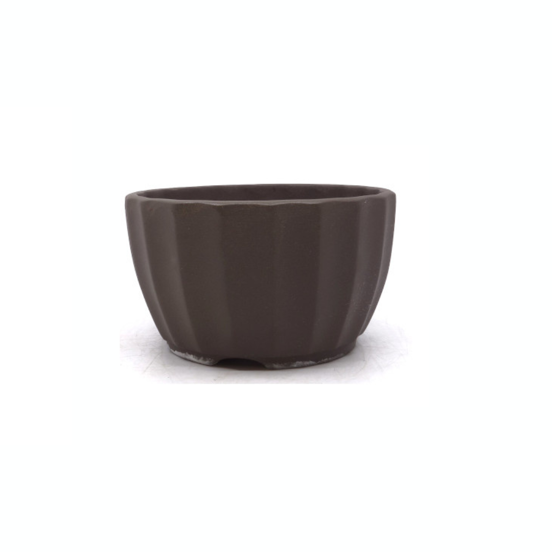 Vaso per bonsai non smaltato crisantemi 15cm