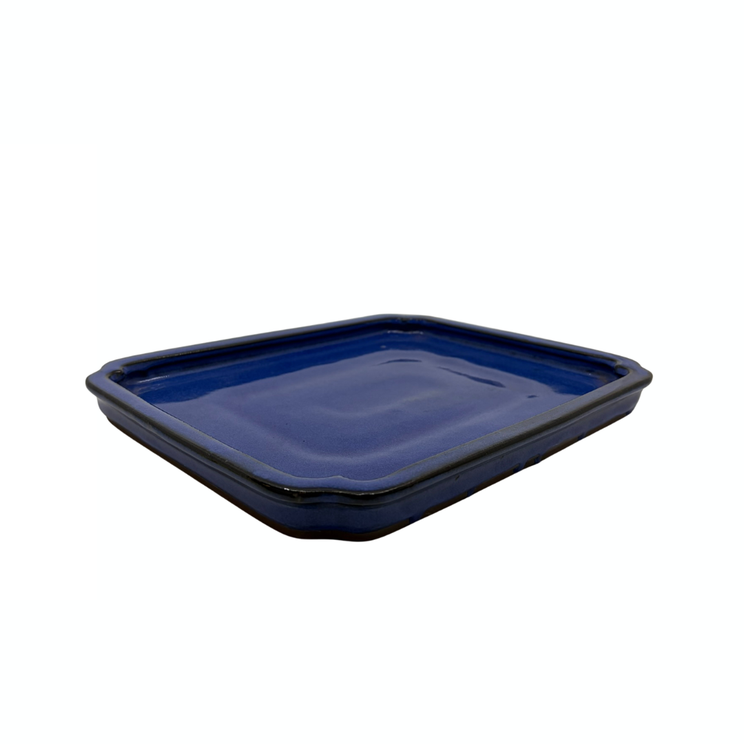 Sottovaso per bonsai rettangolare blu 29cm