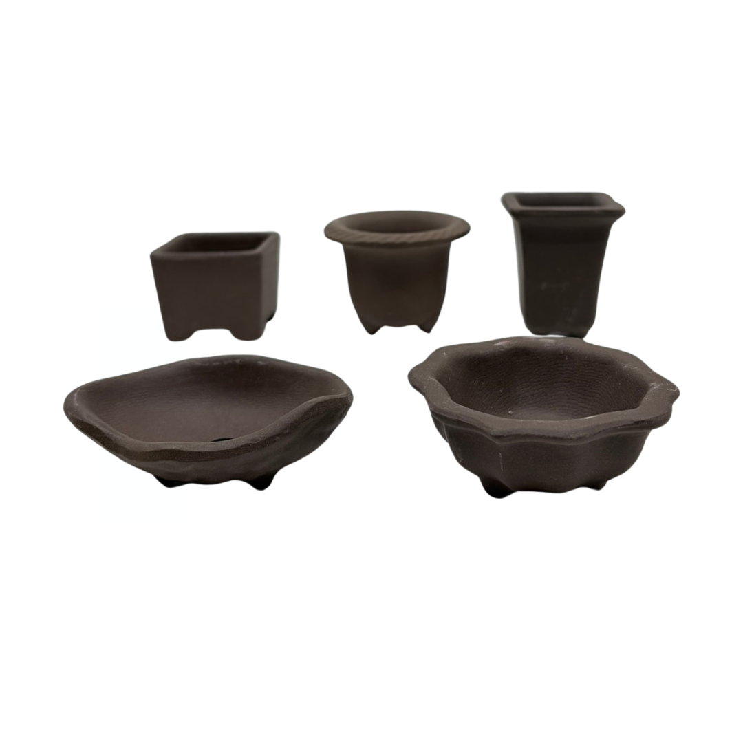 Set di 5 vasi Mame non smaltati (larghezza 4-7 cm)