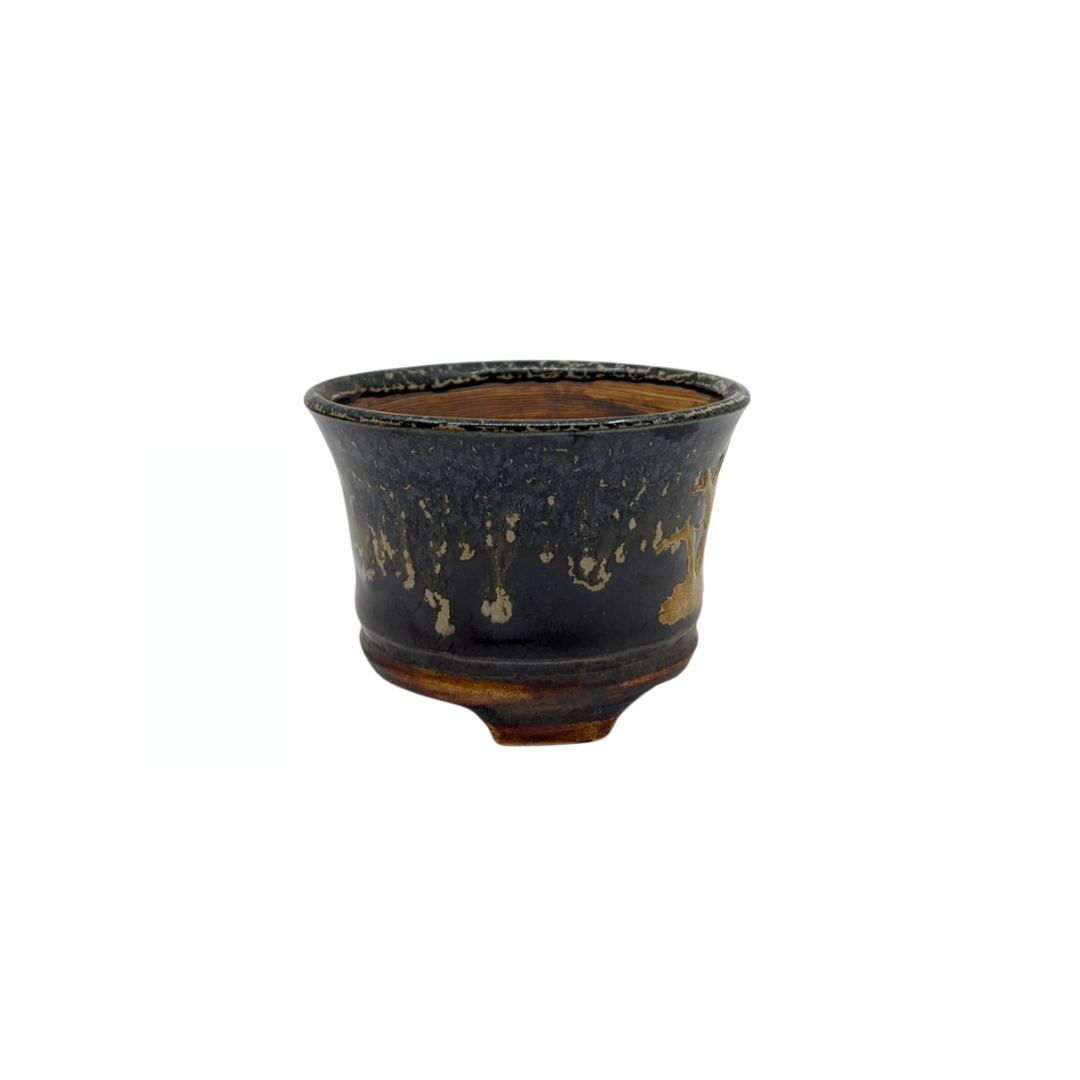 Vaso per bonsai Shohin nero con oro René Lecocq 9cm