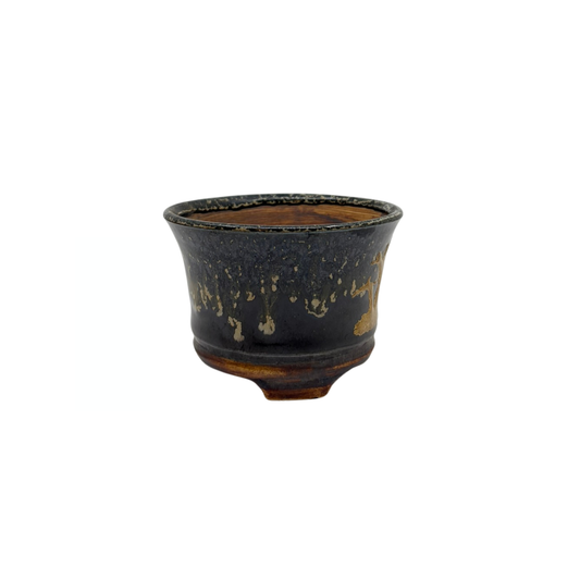 Vaso per bonsai Shohin nero con oro René Lecocq 9cm