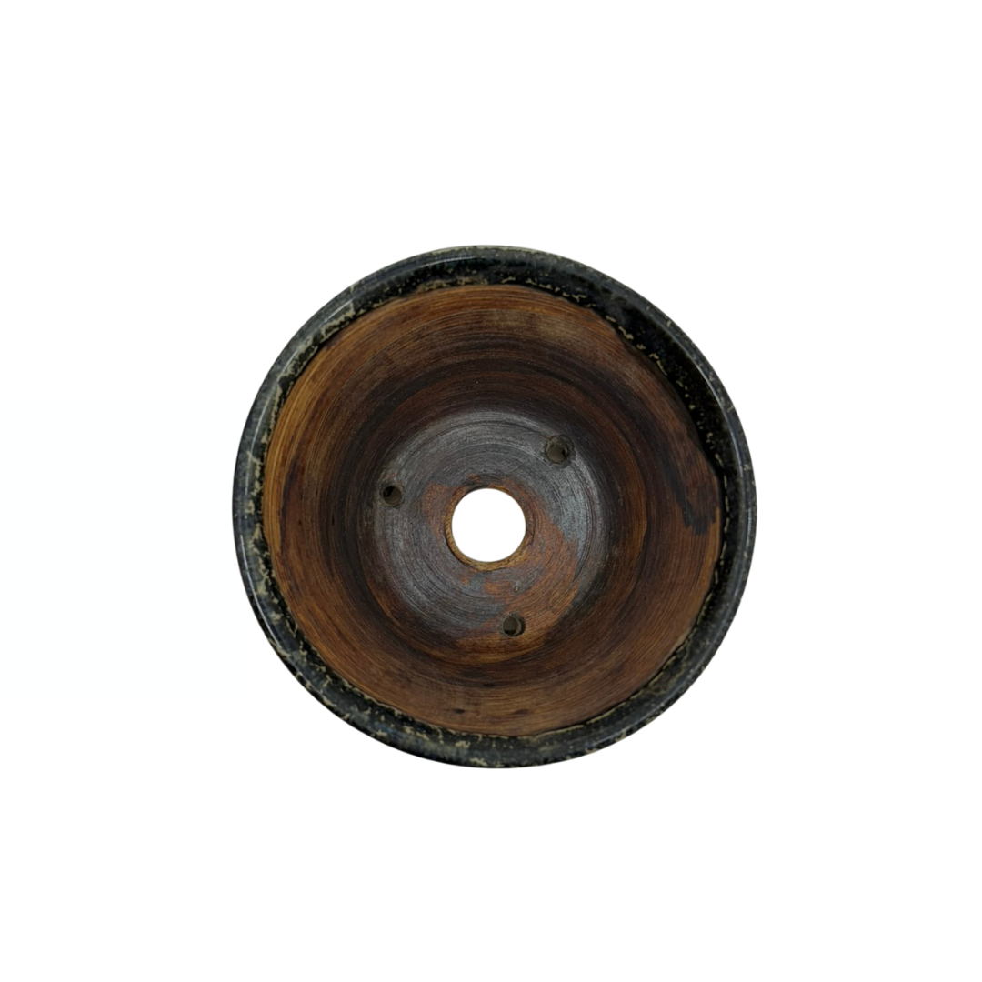 Vaso per bonsai Shohin nero con oro René Lecocq 9cm
