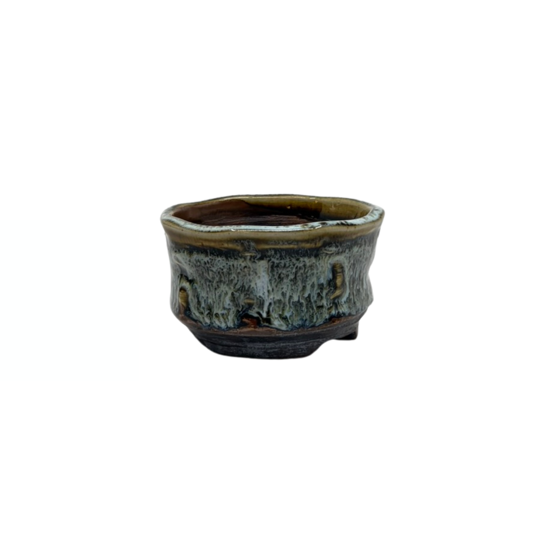 Vaso per Bonsai Shohin marrone crema René Lecocq 9cm