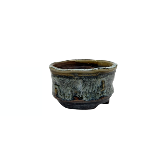 Vaso per Bonsai Shohin marrone crema René Lecocq 9cm