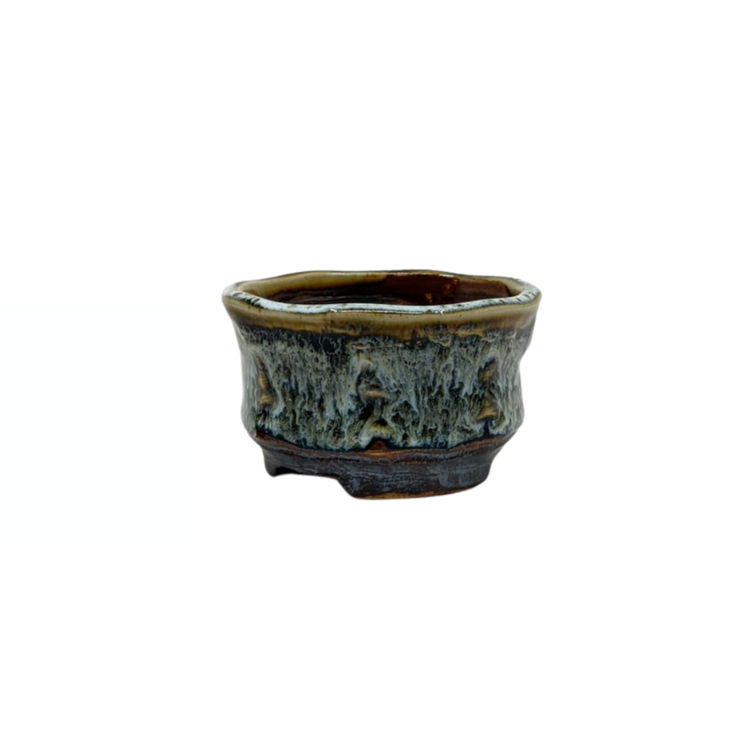 Vaso per Bonsai Shohin marrone crema René Lecocq 9cm