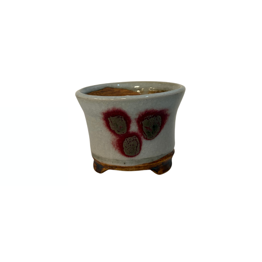 Vaso per bonsai Shohin crema con delicate macchie rotonde René Lecocq 9cm