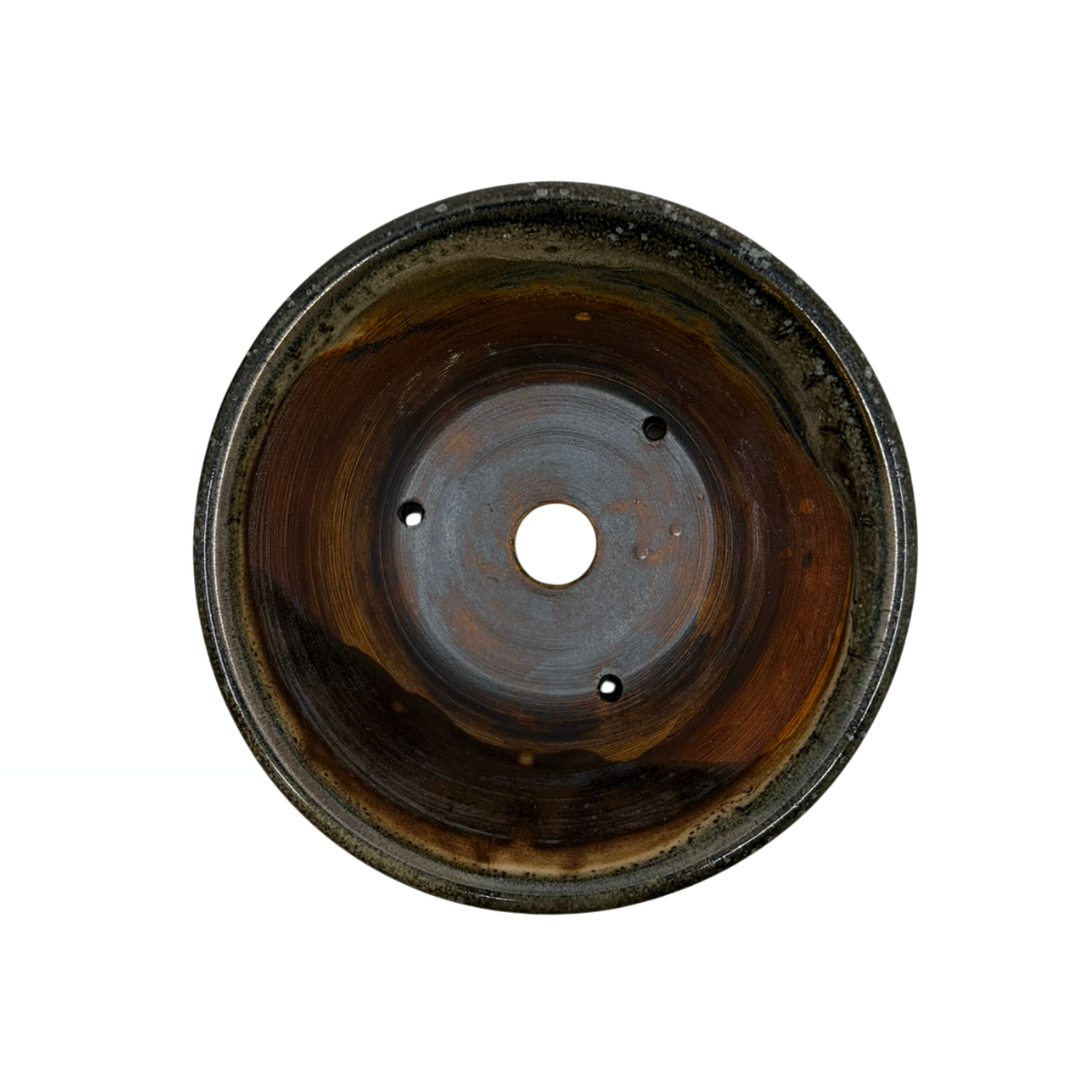 Vaso per bonsai color carbone con accenti beige René Lecocq 13cm