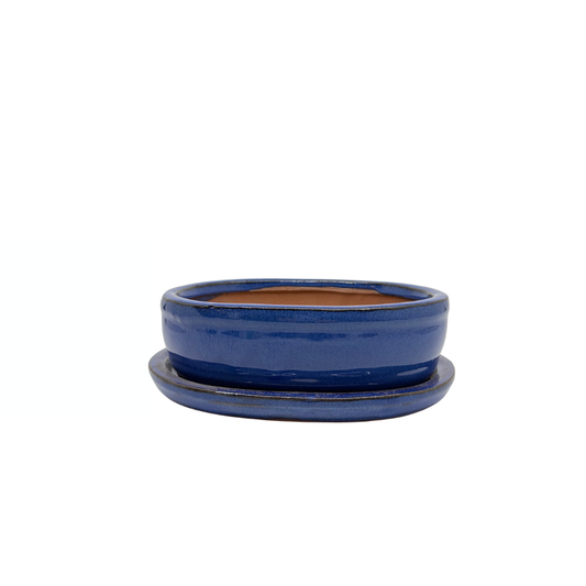 Vaso per bonsai blu ovale 16cm - set