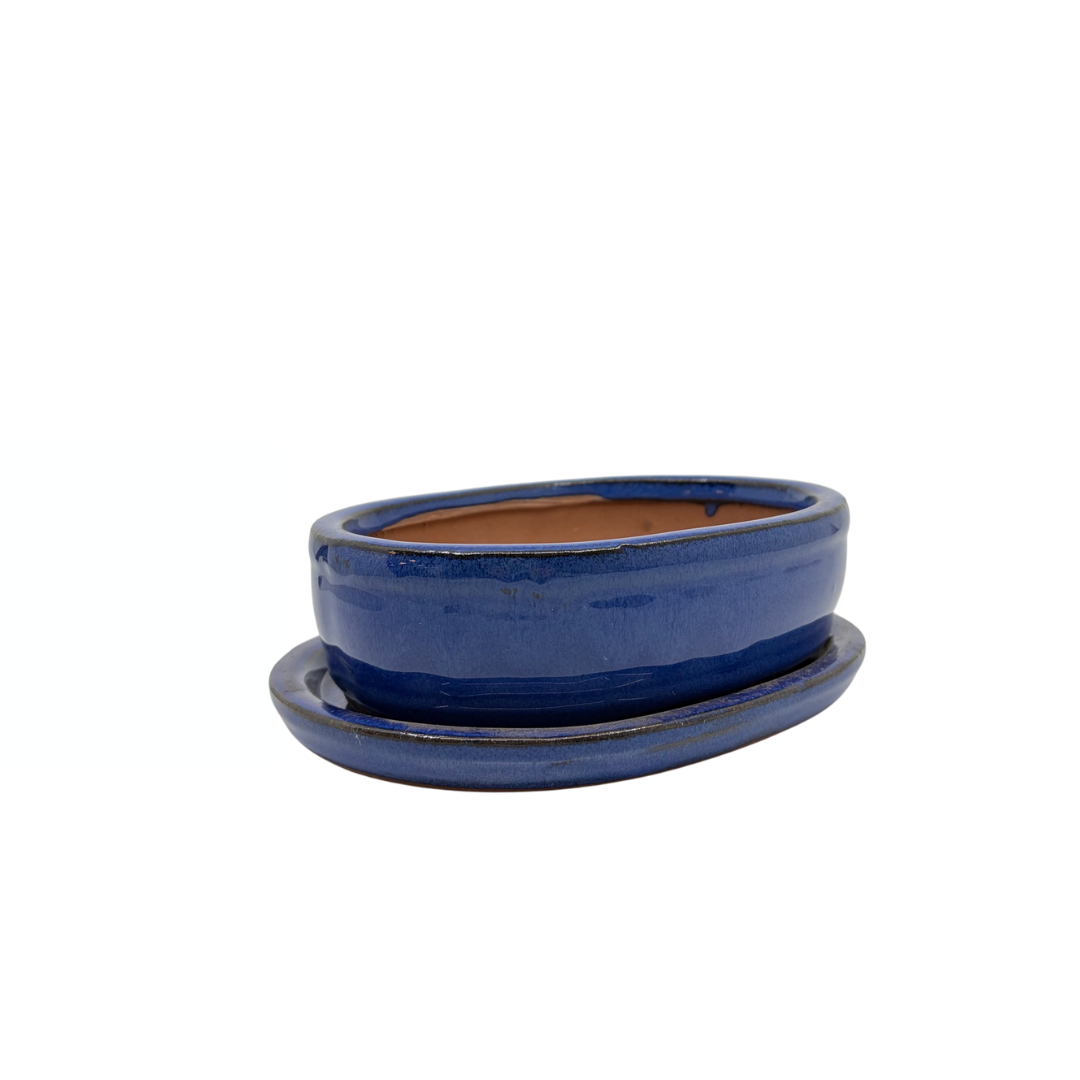 Vaso per bonsai blu ovale 16cm - set