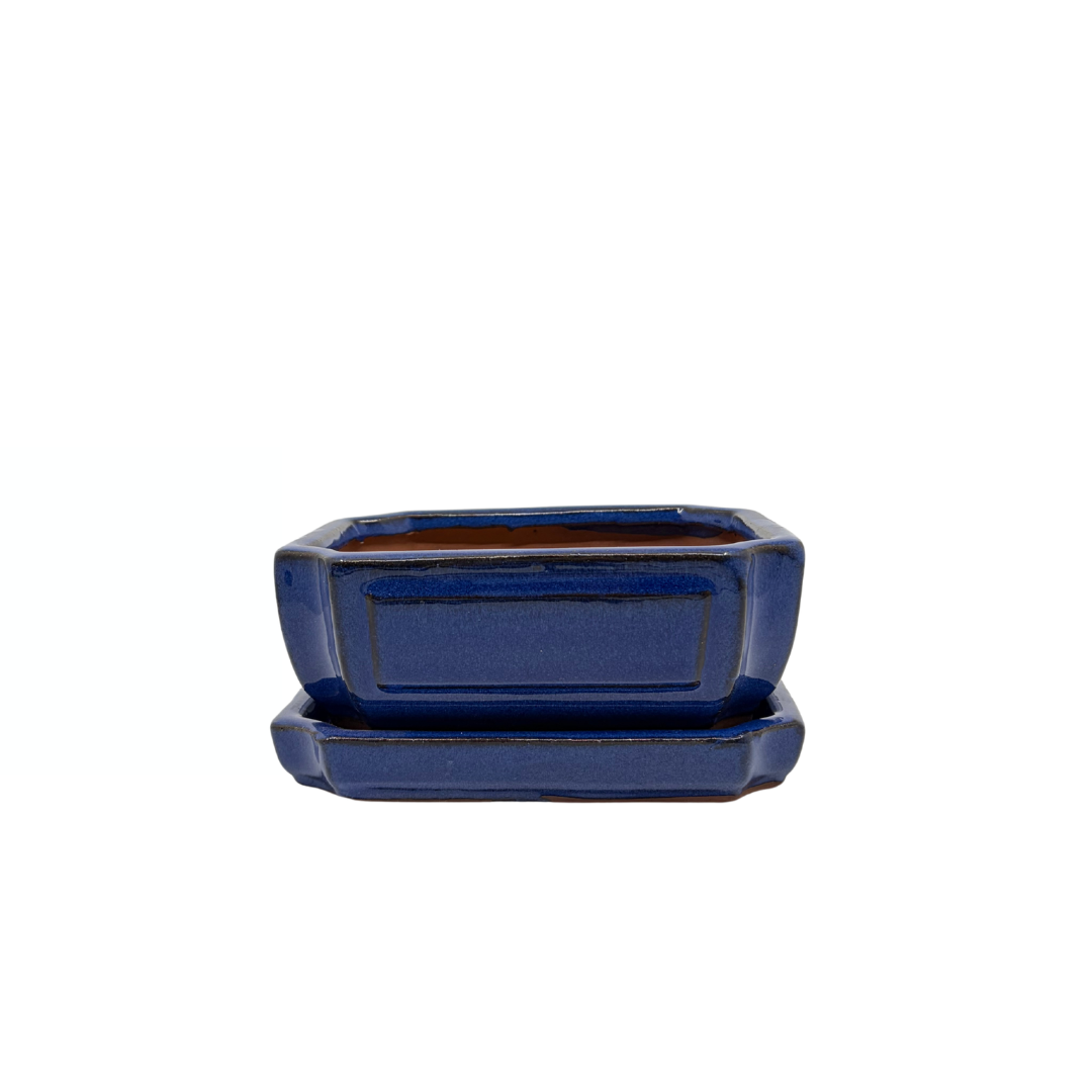 Vaso bonsai blu rettangolare 15cm - set