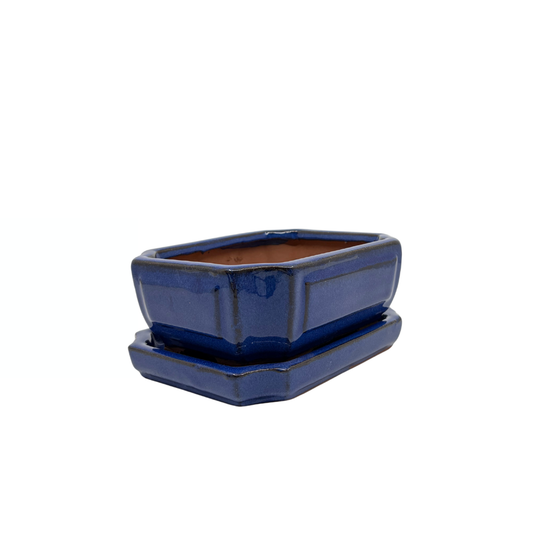 Vaso bonsai blu rettangolare 15cm - set