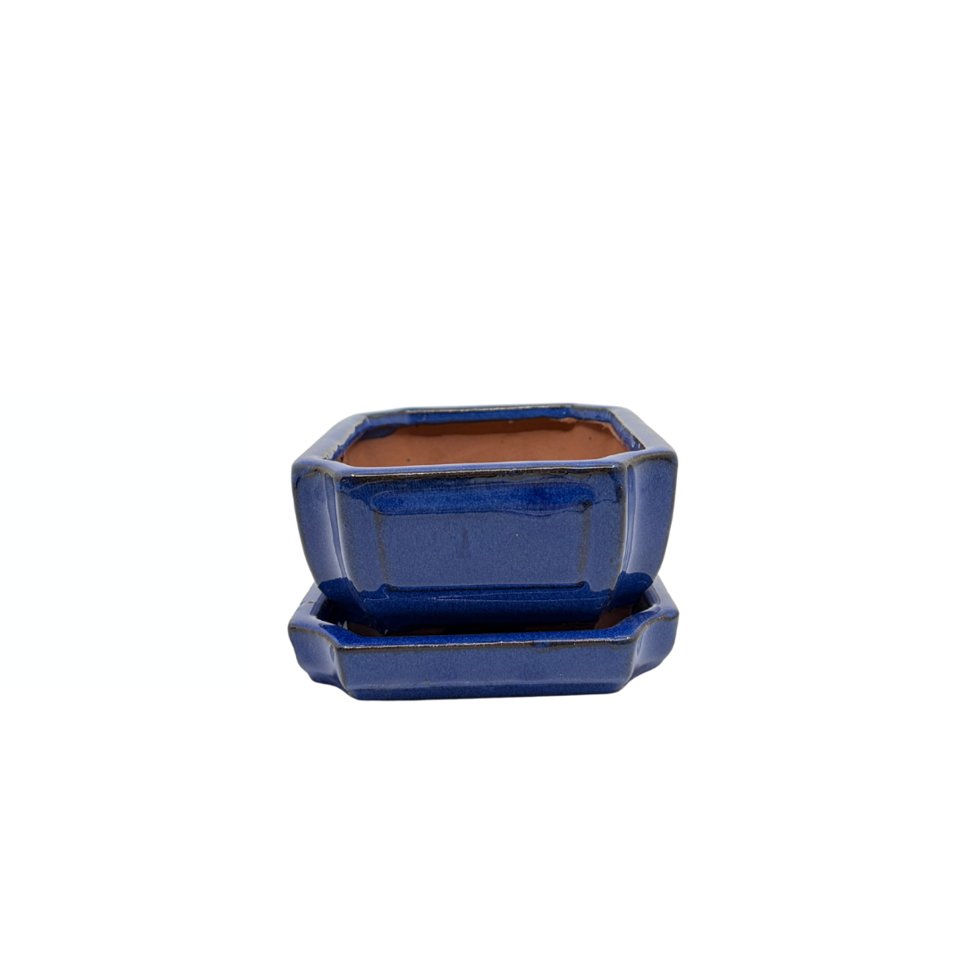 Vaso bonsai blu rettangolare 15cm - set