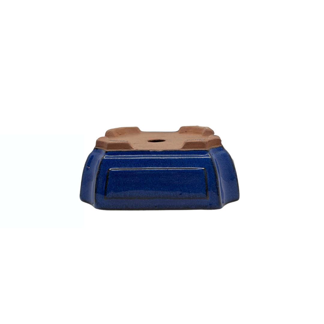 Vaso bonsai blu rettangolare 15cm - set