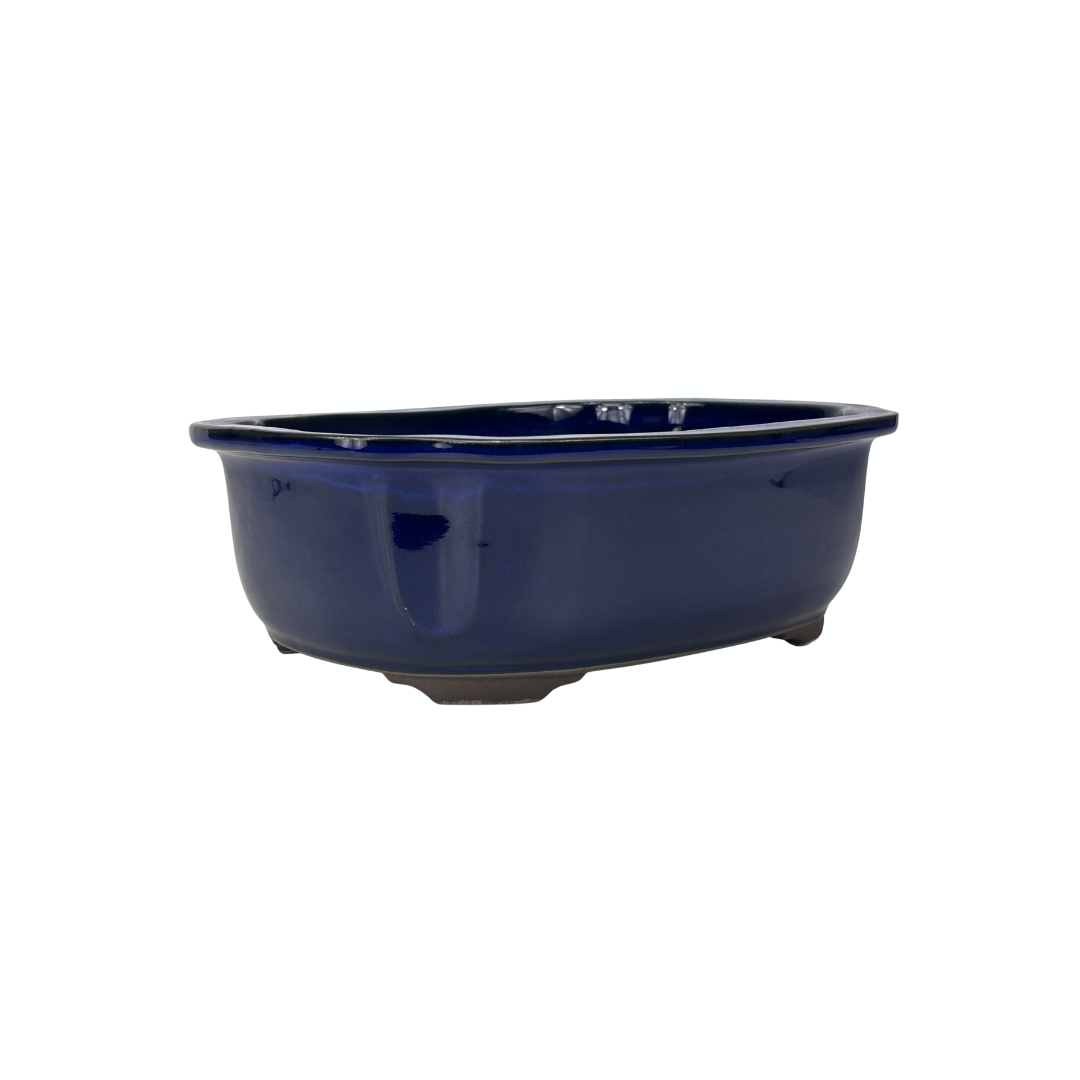 Vaso per bonsai blu mokko 25cm