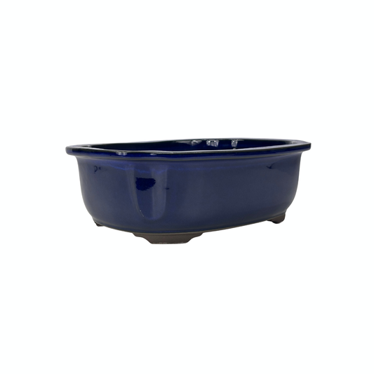 Vaso per bonsai blu mokko 25cm
