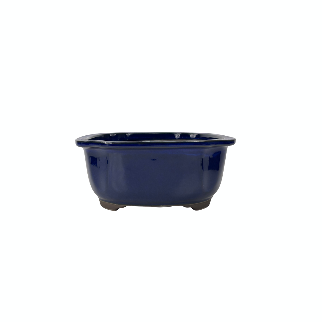 Vaso per bonsai blu mokko 25cm