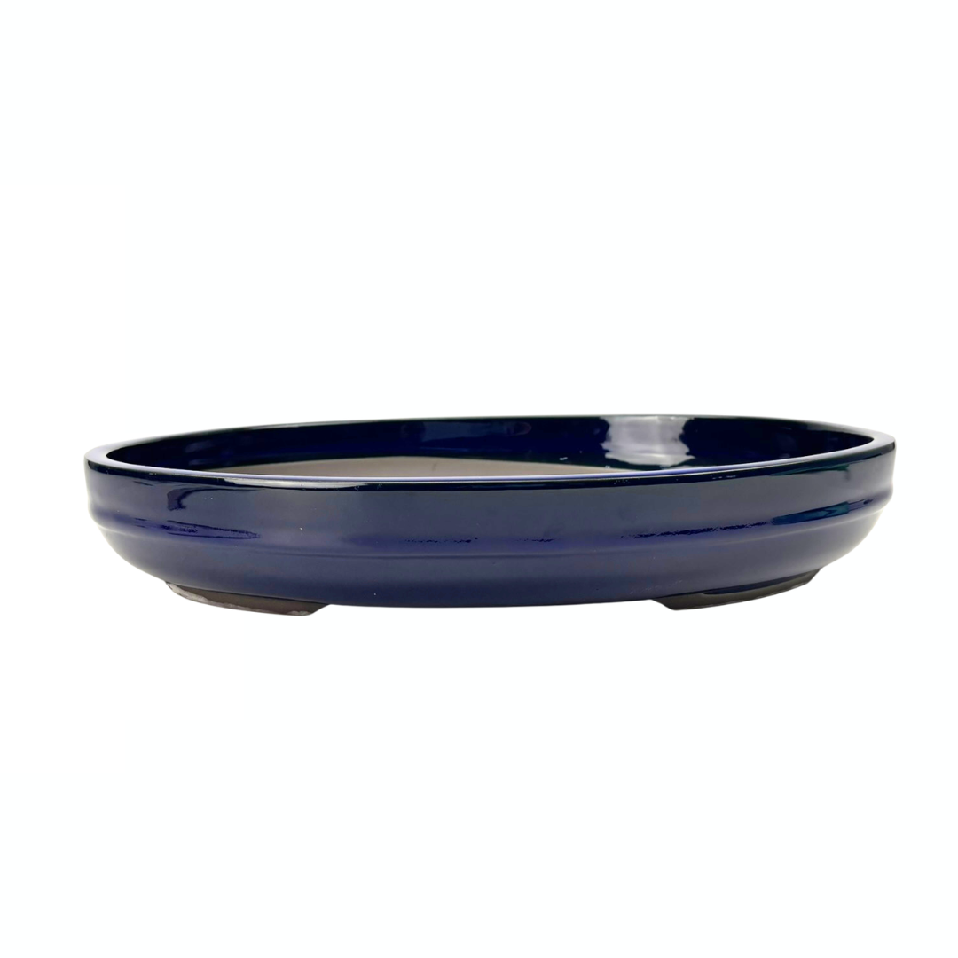 Vaso per bonsai - ovale, smaltato, blu (41 cm di larghezza)