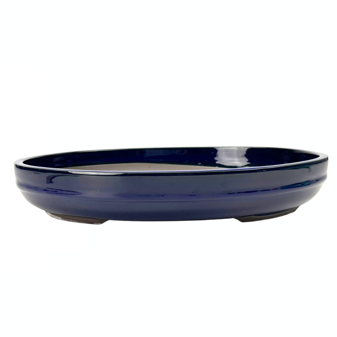 Vaso per bonsai - ovale, smaltato, blu (47 cm di larghezza)