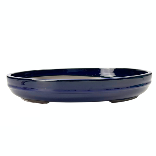 Vaso per bonsai - ovale, smaltato, blu (47 cm di larghezza)