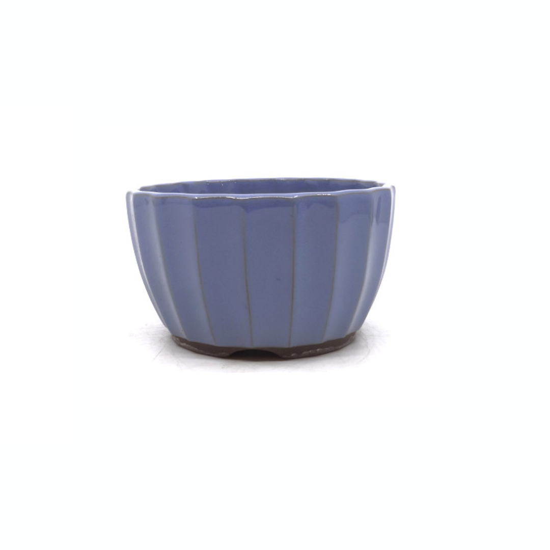 Vaso per bonsai azzurro crisantemi 15cm