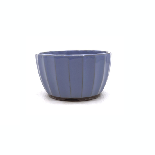 Vaso per bonsai azzurro crisantemi 15cm